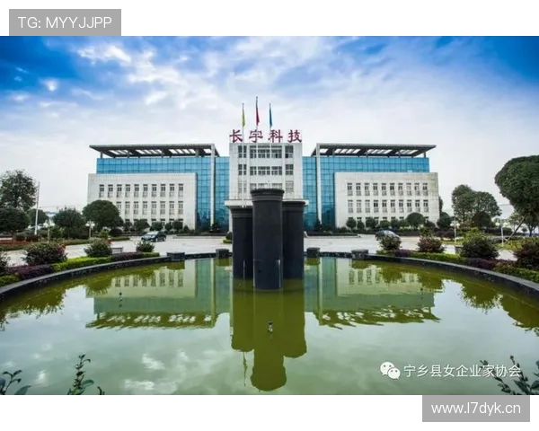 宁乡十大杰出企业家风采展现助推地方经济腾飞创新发展